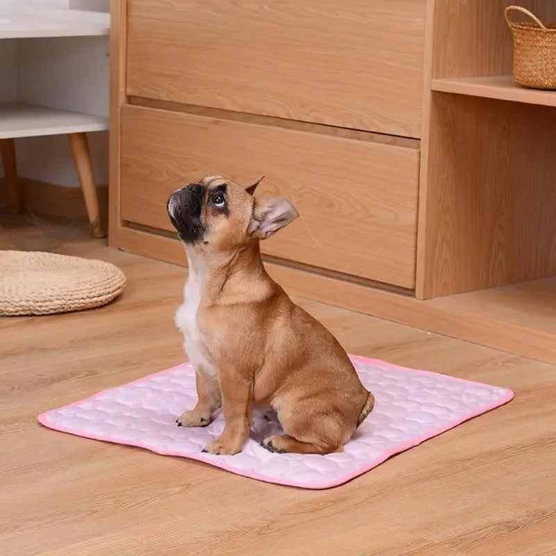 Pet Cooling Mat — Breathable Summer Pad for Dogs & Cats | Small to XXL | Sofa, Car & Home Use