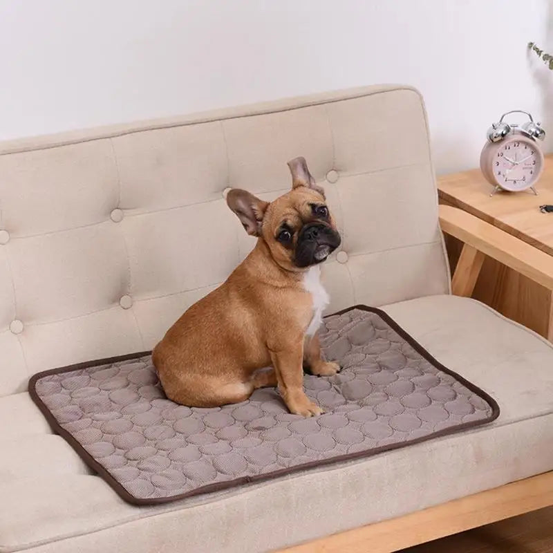 Pet Cooling Mat — Breathable Summer Pad for Dogs & Cats | Small to XXL | Sofa, Car & Home Use