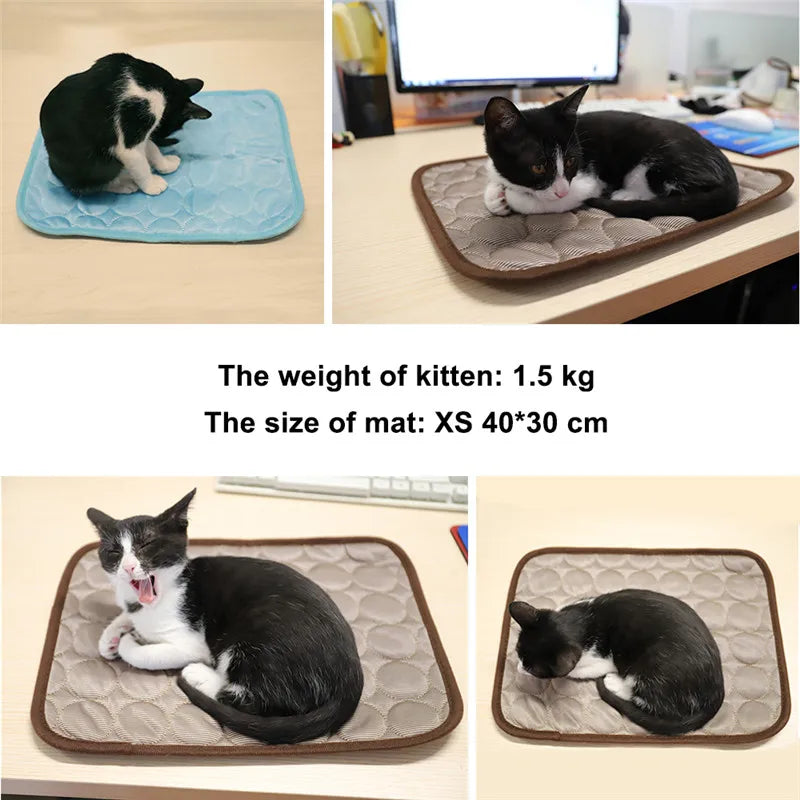Pet Cooling Mat — Breathable Summer Pad for Dogs & Cats | Small to XXL | Sofa, Car & Home Use